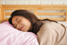 Jangan Sepelekan! Tidur Siang Dapat Tingkatkan Produktivitas Kerja