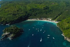 Crystal Bay, Spot Wisata Bawah Laut Terbaik, Tempat Melihat Terumbu Karang Indah 