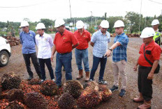Harga TBS Sawit di Bengkulu Selatan Anjlok, Dewan Datangi PKS
