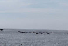 Nelayan Teluk Linau Panen Ikan Moncok