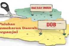 330 Usuan Pembentukan DOB Masuk Ke Kemdagri Sepanjang Tahun 2025