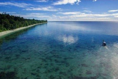 Pulau Rumberpon Destinasi Wisata Memukau di Papua, Objek Wisata Komplit Yang Mampu Membius Pengunjung