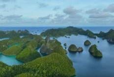 Pulau Waigeo, Surga Bahari yang Menakjubkan di Raja Ampat, Tempat Wisata Favorid Bersama Keluarga