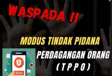 Banyak Warga Bengkulu Selatan Jadi Korban TPPO ke Luar Negeri? Begini Kata Dinas Nakertrans