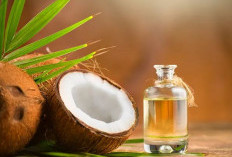 Minyak Kelapa: Pilihan Cerdas untuk Energi Instan dan Berat Badan Ideal