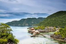 Keindahan dan Pesona Pulau Labengki, Destinasi Wisata Memukau di Ujung Timur Sulawesi Tenggara