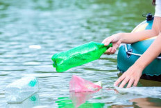 Tolonglah... Jangan Lagi Buang Sampah ke Sungai!