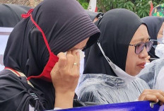 902 Tenaga Honorer Mukomuko Dirumahkan! 3 Kategori Honorer Ini Tak Bisa Diangkat PPPK Paruh Waktu!