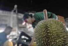 Bengkulu Selatan Sedang Dibanjiri Durian, Terapkan Cara Ini Agar Konsumsi Durian Baik untuk Kesehatan