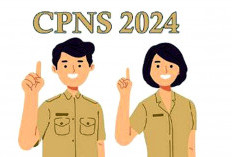 20 Agustus Pendaftaran CPNS Kaur Resmi Dibuka  