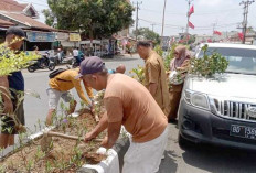 Tanaman Mati Diganti, Penyiraman Dua Kali Seminggu