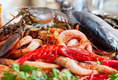 Makanan Tinggi Kolesterol Namun Kaya Nutrisi