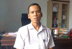 Penagihan DBH PKB, Pajak Rokok dan BBNKB Jadi Tugas Bapenda Seluma
