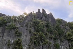 Wisata Pulau Misool Yang Mempesona, Disebut Mutiara Eksotis di Papua Barat