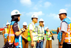 MIT Dari Korea Selatan Tinjau Potensi Kelautan dan Hutan Mangrove Bengkulu