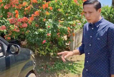 Bupati Kaur Temukan Mobnas Rusak Parah di Bengkel