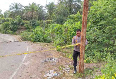 Belum Ada Tanda-tanda Jembatan Sekunyit di Bengkulu Selatan Diperbaiki