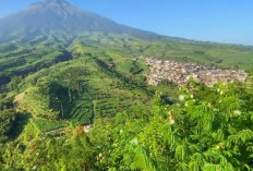 Wisata Puncak Botorono, Tempat Ideal untuk Menghilangkan Stres, Pemandangan Indah dan Suasananya Sejuk