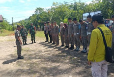 Ternak Berkeliaran Di Kaur Ditembak Pakai Obat Bius 