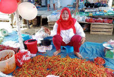 Harga Cabai Semakin Terus Merangkak Naik