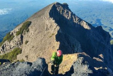 Gunung Rawung dan Gung Kerinci, Jalur Pendakian Paling Ekstrem di Indonesia, Cocok Untuk Tempat Uji Nyali