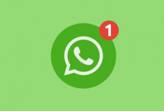 WhatsApp Tambah Fitur Baru untuk Chat, Panggilan, dan Saluran