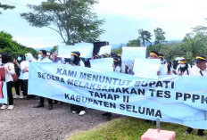 Tenaga Honorer Tahap II Sampaikan Permohonan Tertulis Kepada Bupati Seluma