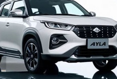 Daihatsu Ayla dan Sigra, Mobil Harga Murah, Nyaman, Fitur Canggih, Irit BBM Cocok Untuk Kendaraan Harian