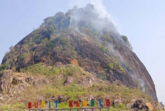 Wisata Bukit Kandis, Keindahan Alam Menawan di Bengkulu, Cocok untuk Pendaki Pemula