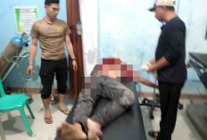 Balas Dendam Dalam Suasana Lebaran, Pemuda Bengkulu Selatan MD Secara Tragis
