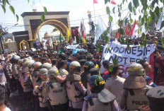 Ribuan Mahasiswa Bengkulu Beraksi Kawal Putusan MK