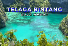 Menjelajahi Pesona Objek Wisata Telaga Bintang, Raja Ampat Papua Barat Daya, Indah Dan Unik