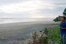 Pantai Pasar Seluma Sudah Bisa Dikelola Jadi Objek Wisata 