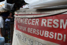 Distributor Pupuk Subsidi di Kaur Wajib Patuhi Aturan Harga