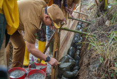 Peletakan Batu Pertama Kegiatan Opla Non Rawah Dan Penyerahan Bantuan Kepada Kelompok Tani