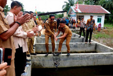 Panen Bersama Ikan Lele, BUMDes Desa Pandu Agung Dinilai Bupati Berhasil