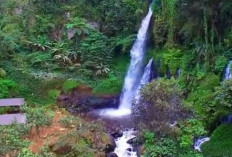 Mengenal Objek Wisata Curug Orok di Garut, Menawarkan Ketenangan dan Suasana Alam Yang Sejuk