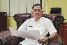 Ingat! Bikin NIB Gratis, Ini Manfaat Yang Didapat