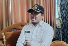 Dinkes Bengkulu Selatan Terus Lakukan Pembinaan Kader Posyandu
