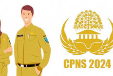 Sah! Pemkab Bengkulu Selatan Dapat Kuota 60 Formasi CPNS