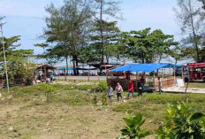 Dispar Bengkulu Selatan Bersihkan Lahan Untuk Proses Relokasi Pedagang