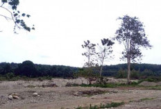 Batu di Sungai Air Kedurang Dikeruk, Pemda Bengkulu Selatan Tidak Bisa Apa-apa