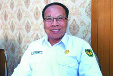 Alih Fungsi Lahan Sawah Jadi Perkebunan Sawit Harus Dihentikan