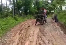 Jalan Menuju Desa Cinto Mandi Pino Raya Semakin Rusak