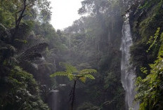 Curug Badak Batu Hanoman, Air Terjun Eksotis dan Megah di Tasikmalaya