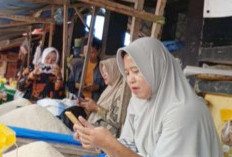 Hujan Mulai Turun, Tapi Harga Beras Masih Mahal