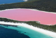 Danau Hillier, Keajaiban Alam Sebuah Danau Dengan Air Berwarna Merah Muda di Australia