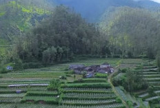 Kampung Balong, Tersembunyi di Lereng Gunung Merbabu, Kota Tersejuk Di Magelang