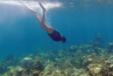  Keindahan Pantai Nglambor, Surga Snorkeling di Gunung Kidul