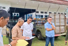 Pejabat di Kaur Belum Bisa Kendarai Mobil Dinas, Ini Penyebabnya